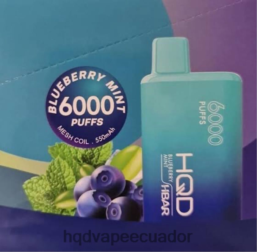 HQD HBAR 6000 bocanadas menta de arándanos 00662451 | HQD ECUADOR